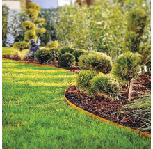 Gartenlandschaft mit Rasen, Büschen und Beeteinfassung
