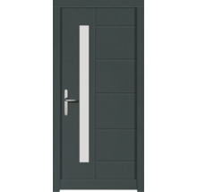 Haustür DW02 Kiefer RAL 6012 schwarzgrün 1000x2100 mm DIN Links (nach innen öffnend)