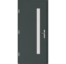 Haustür DW02 Kiefer RAL 6012 schwarzgrün 1000x2100 mm DIN Links (nach innen öffnend)