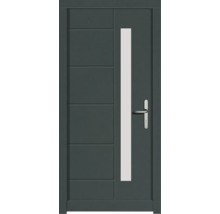 Haustür DW02 Kiefer RAL 6012 schwarzgrün 1100x2100 mm DIN Rechts (nach innen öffnend)