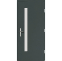 Haustür DW02 Kiefer RAL 6012 schwarzgrün 1100x2100 mm DIN Rechts (nach innen öffnend)