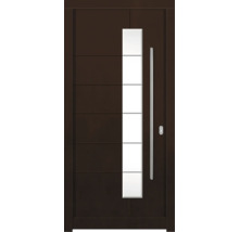 Moderne Haustür mit Glaseinsatz und Stangengriff