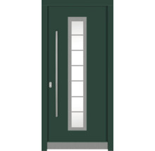 Haustür DW12 Kiefer RAL 6005 moosgrün 1100x2100 mm DIN Links (nach innen öffnend)