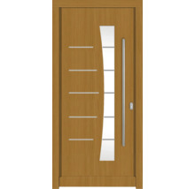 Haustür mit Glaseinsatz und Griff