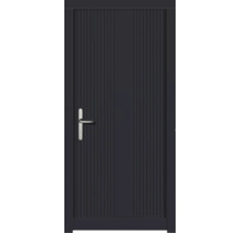 Haustür DW39 Kiefer RAL 7016 anthrazitgrau 1100x2100 mm DIN Links (nach innen öffnend)
