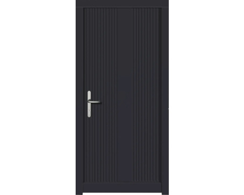 Haustür DW39 Kiefer RAL 7016 anthrazitgrau 1100x2100 mm DIN Links (nach innen öffnend) Haustür DW39 Kiefer RAL 7016 anthrazitgrau 1100x2100 mm DIN Links (nach innen öffnend)