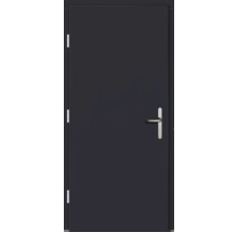 Haustür DW39 Kiefer RAL 7016 anthrazitgrau 1100x2100 mm DIN Links (nach innen öffnend)