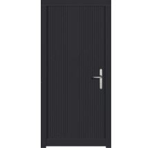 Haustür DW39 Kiefer RAL 7016 anthrazitgrau 1000x2100 mm DIN Rechts (nach innen öffnend)