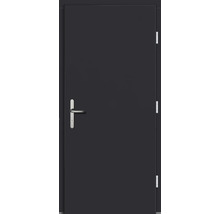 Haustür DW39 Kiefer RAL 7016 anthrazitgrau 1000x2100 mm DIN Rechts (nach innen öffnend)