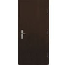 Haustür DW54 Kiefer/Eiche Nussbaum 1000x2100 mm DIN Rechts (nach innen öffnend)