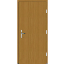 Holztür mit Türgriff und Scharnieren