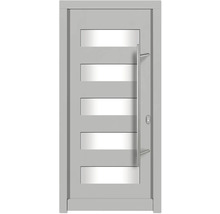 Haustür mit Glaseinsätzen und Griffstange
