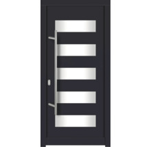 Haustür DW57 Kiefer RAL 7016 anthrazitgrau 1000x2100 mm DIN Links (nach innen öffnend)