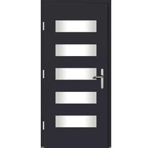 Moderne Tür mit fünf horizontalen Glaseinsätzen und Griff