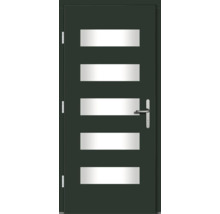 Haustür DW57 Kiefer RAL 6009 tannengrün 1100x2100 mm DIN Links (nach innen öffnend)