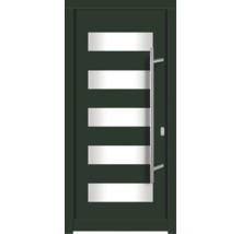 Haustür DW57 Kiefer RAL 6009 tannengrün 1000x2100 mm DIN Rechts (nach innen öffnend)