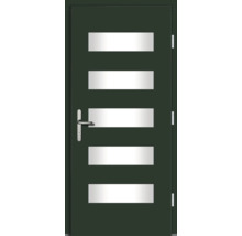 Haustür DW57 Kiefer RAL 6009 tannengrün 1000x2100 mm DIN Rechts (nach innen öffnend)