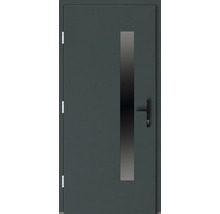 Haustür DW14a Kiefer RAL 6012 schwarzgrün 1100x2100 mm DIN Links (nach innen öffnend)