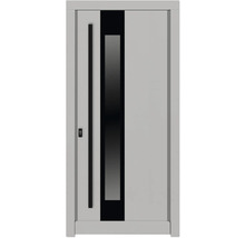 Haustür mit Glaseinsatz und Griffstange