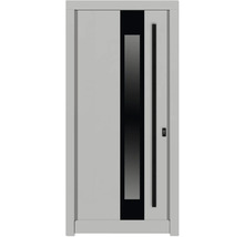 Haustür DW14a Kiefer RAL 9016 verkehrsweiß 1100x2100 mm DIN Rechts (nach innen öffnend)