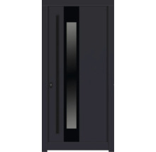 Haustür DW14a Kiefer RAL 7016 anthrazitgrau 1000x2100 mm DIN Links (nach innen öffnend)