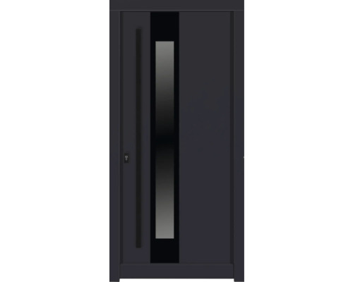 Haustür DW14a Kiefer RAL 7016 anthrazitgrau 1000x2100 mm DIN Links (nach innen öffnend) Haustür DW14a Kiefer RAL 7016 anthrazitgrau 1000x2100 mm DIN Links (nach innen öffnend)