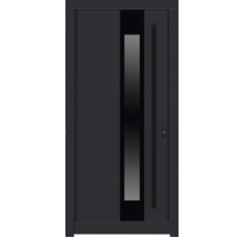 Haustür mit Glaseinsatz
