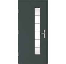 Haustür DW18 Kiefer RAL 6012 schwarzgrün 1100x2100 mm DIN Links (nach innen öffnend)