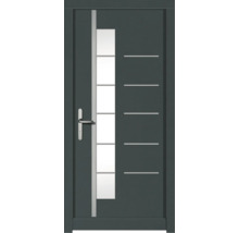 Haustür DW18 Kiefer RAL 6012 schwarzgrün 1100x2100 mm DIN Links (nach innen öffnend)
