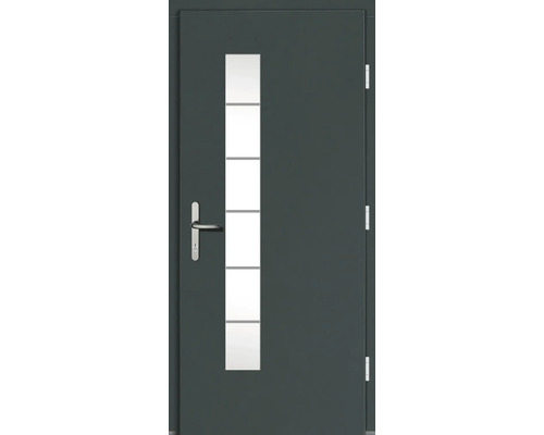 Haustür mit Glaseinsatz und Edelstahlgriff