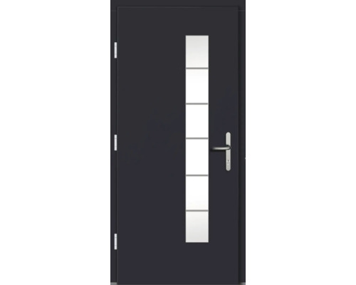Haustür mit Glaseinsatz und Türgriff