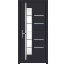 Haustür DW18 Kiefer RAL 7016 anthrazitgrau 1100x2100 mm DIN Links (nach innen öffnend)