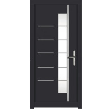 Haustür DW18 Kiefer RAL 7016 anthrazitgrau 1100x2100 mm DIN Rechts (nach innen öffnend)
