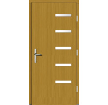 Holztür mit horizontalen Lichtausschnitten und Türgriff