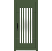 Haustür DW25 Kiefer RAL 6000 patinagrün 1000x2100 mm DIN Links (nach innen öffnend)