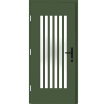 Haustür DW25 Kiefer RAL 6000 patinagrün 1000x2100 mm DIN Links (nach innen öffnend)