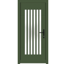 Haustür DW25 Kiefer RAL 6000 patinagrün 1100x2100 mm DIN Rechts (nach innen öffnend)