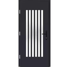 Haustür DW25 Kiefer RAL 7016 anthrazitgrau 1000x2100 mm DIN Links (nach innen öffnend)