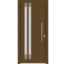 Moderne Haustür aus Holz mit Glaseinsatz und Edelstahlgriff