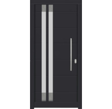 Haustür DW27 Kiefer RAL 7016 anthrazitgrau 1000x2100 mm DIN Rechts (nach innen öffnend)