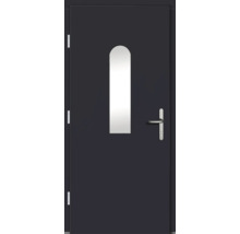 Haustür DW29 Kiefer RAL 7016 anthrazitgrau 1100x2100 mm DIN Links (nach innen öffnend)
