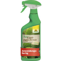 Neudorff Biokraft Vitalkur für Buxus und Ilex in Sprühflasche