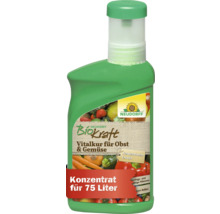 Neudorff Biokraft Vitalkur für Obst und Gemüse Konzentrat für 75 Liter