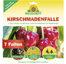 Neudorff Kirschmadenfalle zum Schutz von Kirschen und Walnüssen vor Madenbefall, sieben Fallen