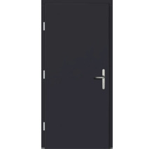 Haustür DW54 Kiefer RAL 7016 anthrazitgrau 1000x2100 mm DIN Links (nach innen öffnend)