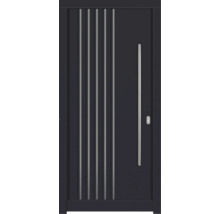 Moderne Haustür mit vertikalen Zierleisten und Stangengriff