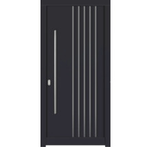 Haustür DW54 Kiefer RAL 7016 anthrazitgrau 1100x2100 mm DIN Links (nach innen öffnend)