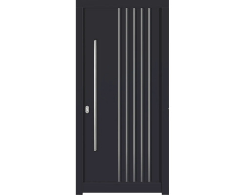 Haustür DW54 Kiefer RAL 7016 anthrazitgrau 1100x2100 mm DIN Links (nach innen öffnend) Haustür DW54 Kiefer RAL 7016 anthrazitgrau 1100x2100 mm DIN Links (nach innen öffnend)