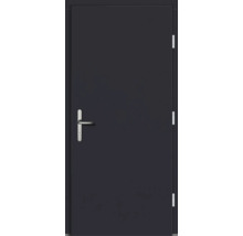 Haustür DW54 Kiefer RAL 7016 anthrazitgrau 1100x2100 mm DIN Rechts (nach innen öffnend)