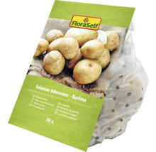 Pflanzkartoffeln der Sorte Karlena im Paket